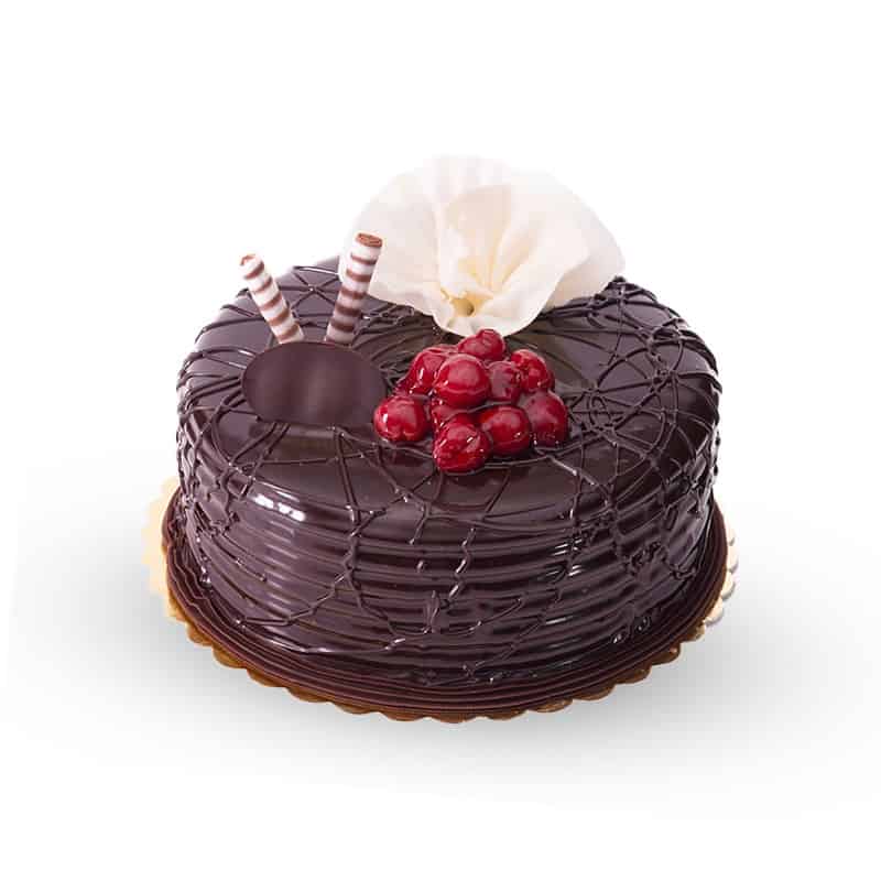 Premium Rich Truffle Fresh Cream Cake